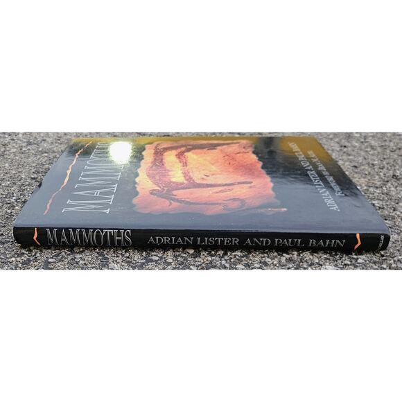 1994 Mammoths Adrian Lister & Paul Bahn Large Illustrated Hardcover Dust Jacket - Picture 3 of 8